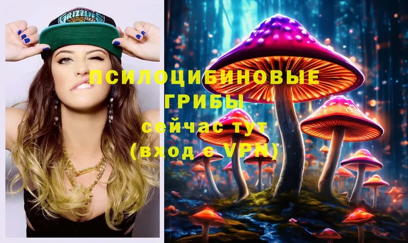 Псилоцибиновые грибы MAGIC MUSHROOMS  купить закладку  Балашов 